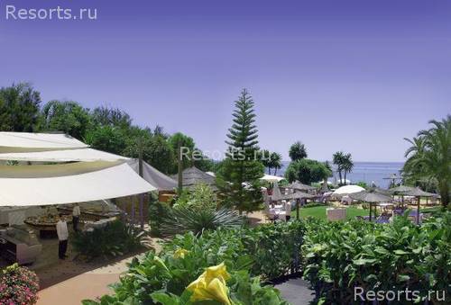 Las Dunas Beach Hotel & Spa 26